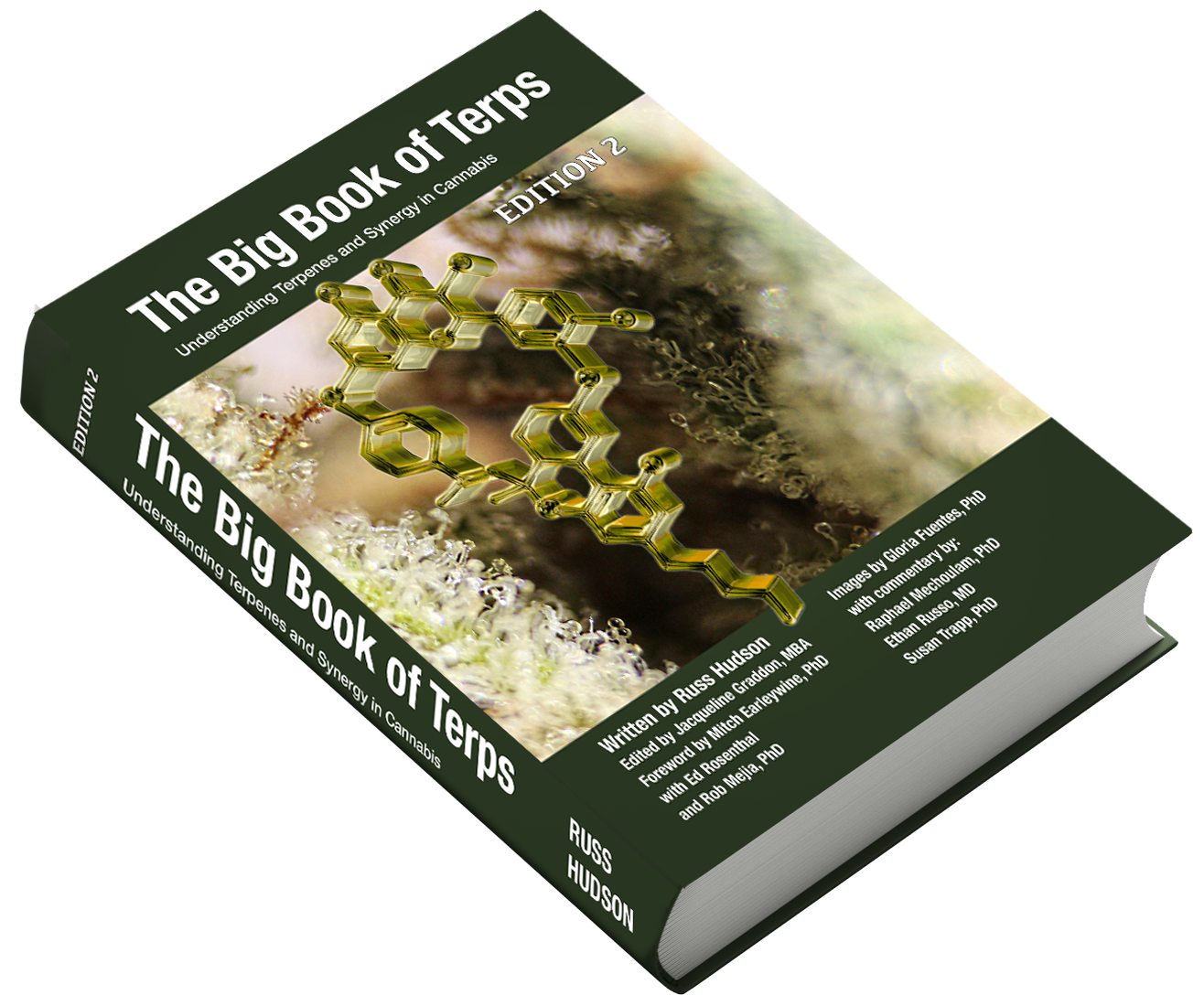 t201-s01-big-book-of-terps.png