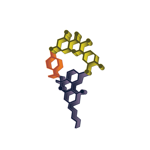 Terpenes 101